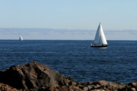 Sailboat Scenic